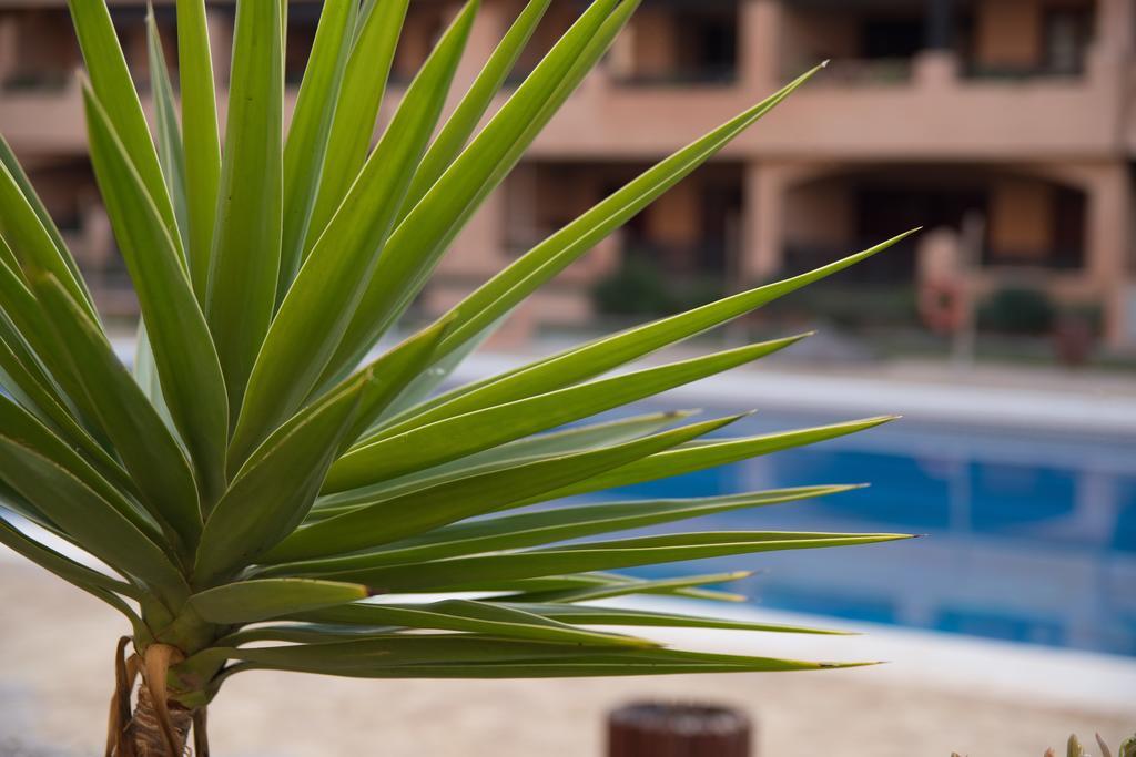 Apartamentos Turisticos Spiritmar Almerimar Luaran gambar